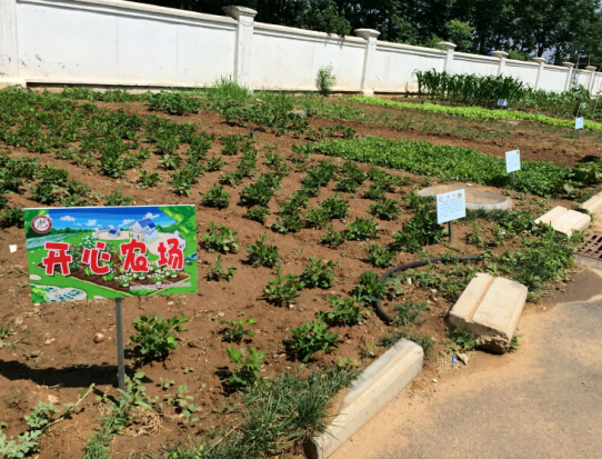 ������ʯ��Сѧ���У�����ȶӿ��١�����ũ����